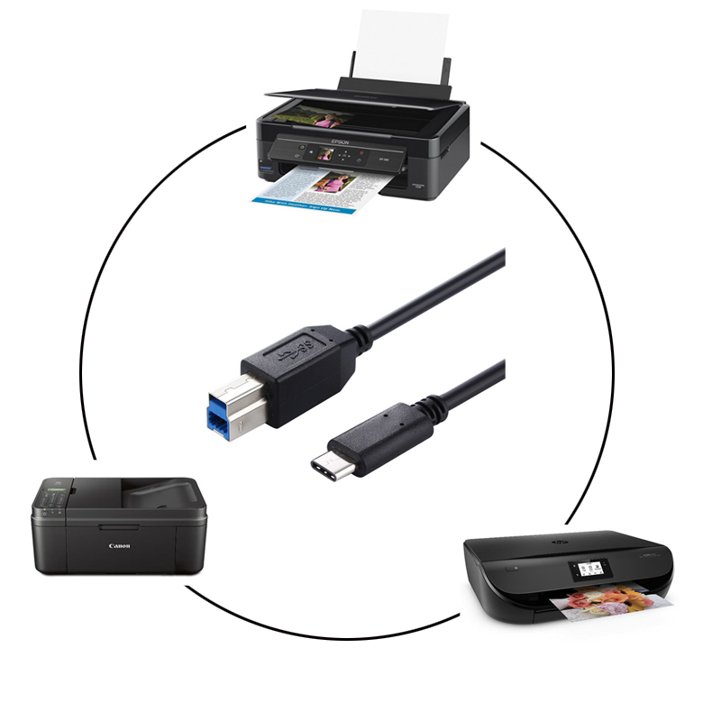 USB C to USB B Cable CUBP2010