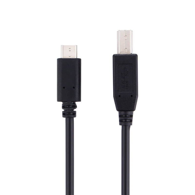 USB C to USB B Cable CUBP2010